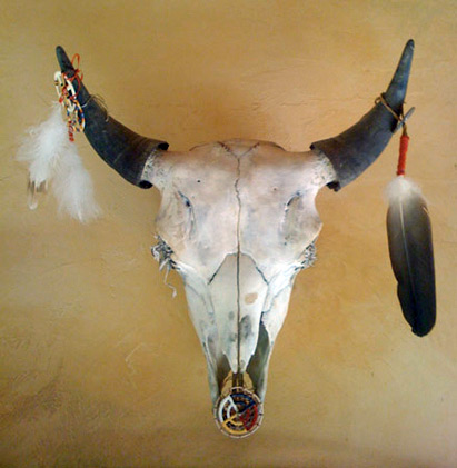 Buffalo skull